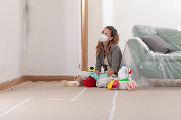 Trusted Mold Removal service in Strasburg, VA - WQB Mold Removal